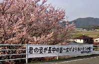 横断幕の画像