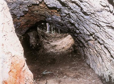 亀ヶ原1号窯跡の画像