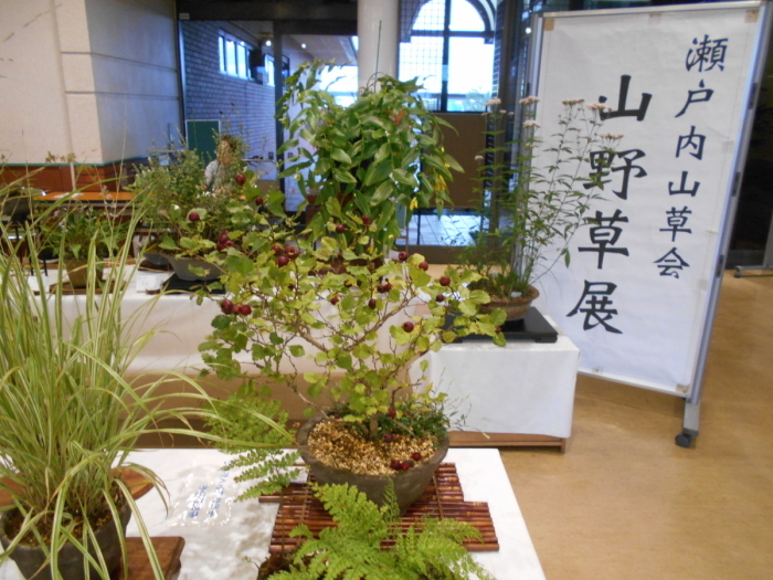 秋の展示会の画像1