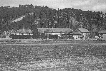 淳風小学校全景の画像