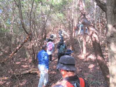 鹿歩山古墳へ行く画像