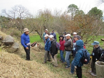 阿弥陀山古墳群の画像