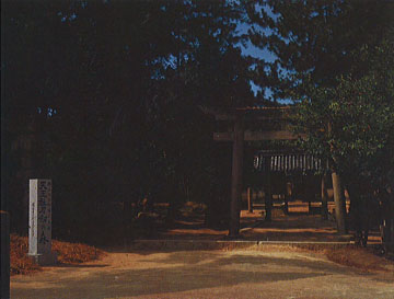 天王社刀剣の森（靱負神社）の画像