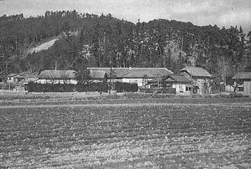 （写真）淳風小学校全景