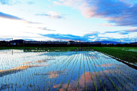 梅雨の合間の夕景の画像