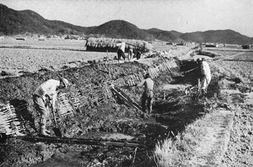 （写真）水路の整備