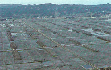 錦海(塩田)の画像