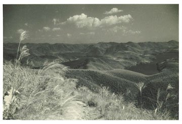 大平山の眺望の画像