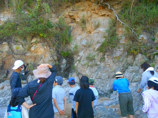 山と海の密接な関係