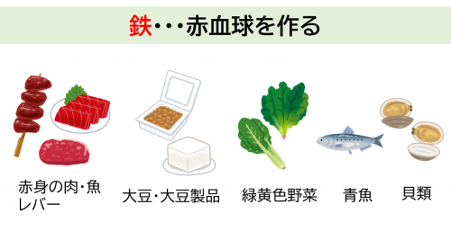 鉄を多く含む食品