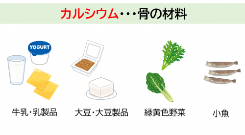 カルシウムを多く含む食品