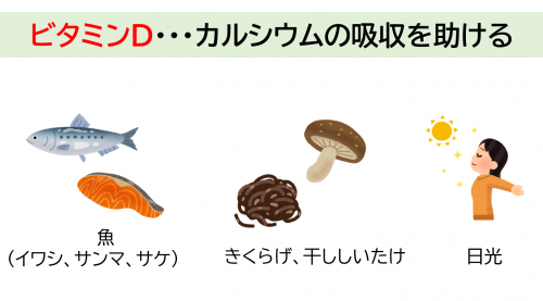 ビタミンDを多く含む食品