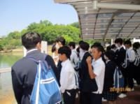 平和2505163