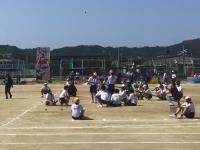 体育会2505312