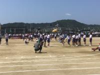 体育会2505313