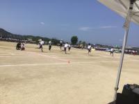 体育会2505314