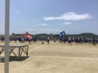 体育会2505319