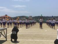 体育会25053111