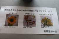 壮行式2506176