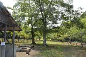 キャンプ場の風景