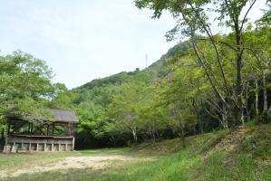 キャンプ場の風景