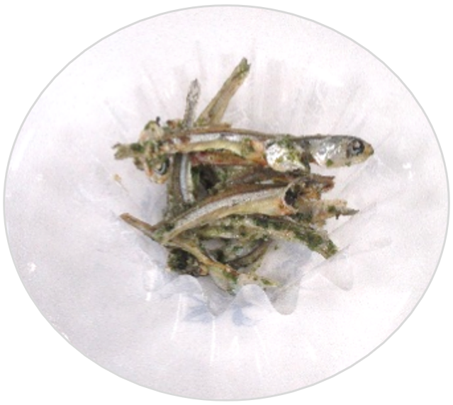 いりこスナックの画像