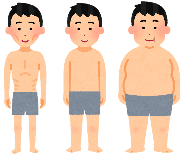 体格（痩せ・標準・肥満）のイラスト