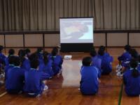 心肺蘇生法2602101