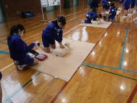 心肺蘇生法2602104