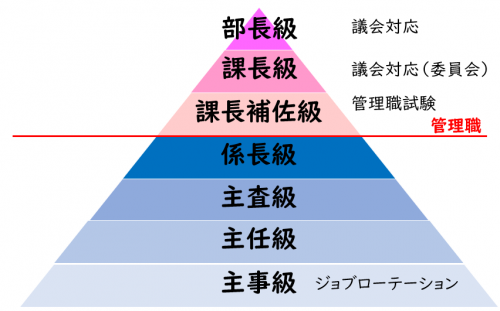 キャリアパス