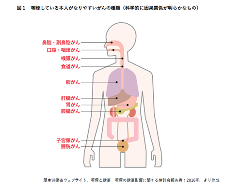 全身疾患