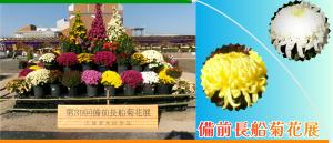 菊花展バナー