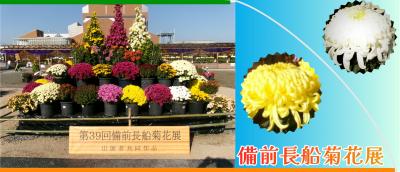 菊花展バナー