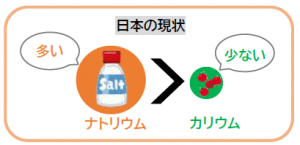 ナトカリバランス　日本の現状の図