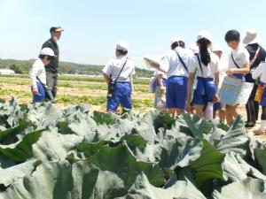 学校の周り探検2